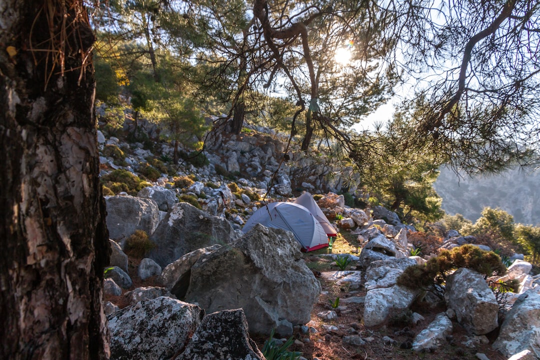 Revitalize Your Spirit: The Healing Power of Outdoor Recreation